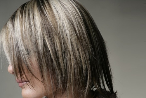 החלקה יפנית